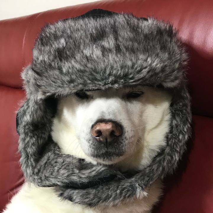 825c4314 ffe2 474a 8484 ed6810134407 1514205148156