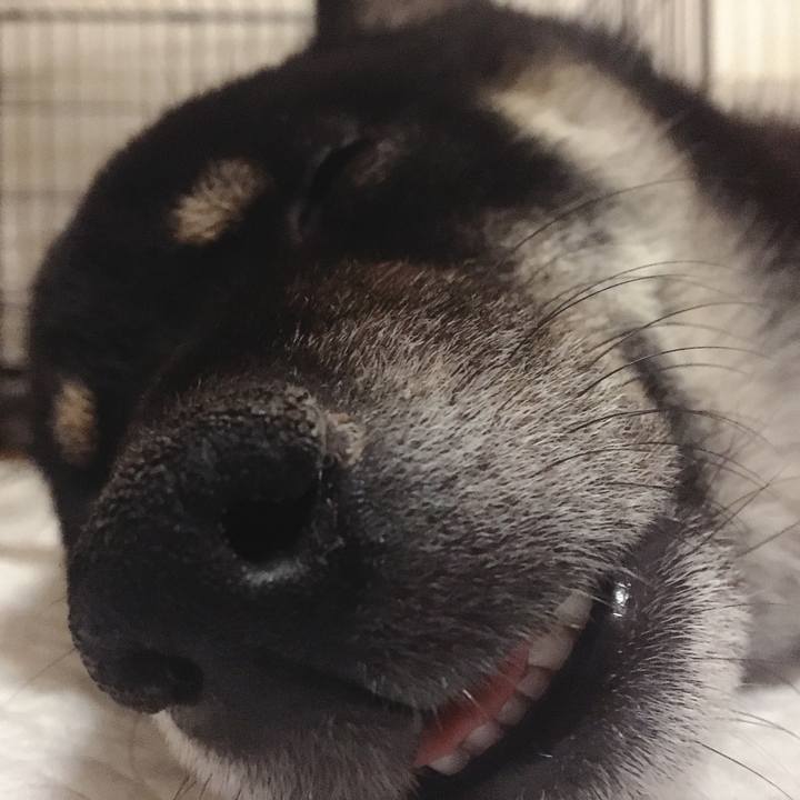 825c693f b492 4da5 873c b84276e78943 1526395497210