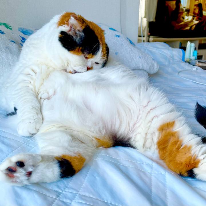 825c7e65 a4cd 4c5c 9dd8 060ba526f04b 1654671683896