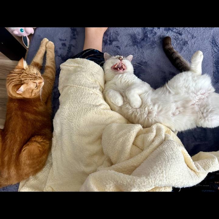 825ce06d 157e 4003 8109 d7ed6058f1aa 1727310846214