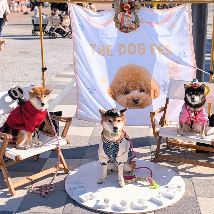 825ce351 5953 4e93 a946 cb16495aa9e0 1735625096842