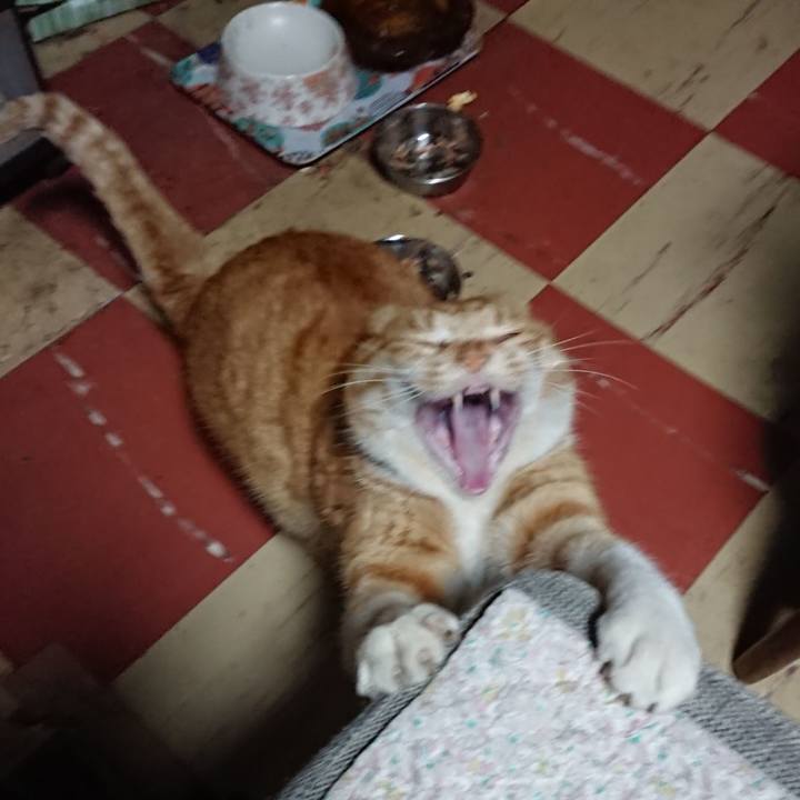 825cecfd 9a63 44a1 9463 5bf91fae6439 1578685383091