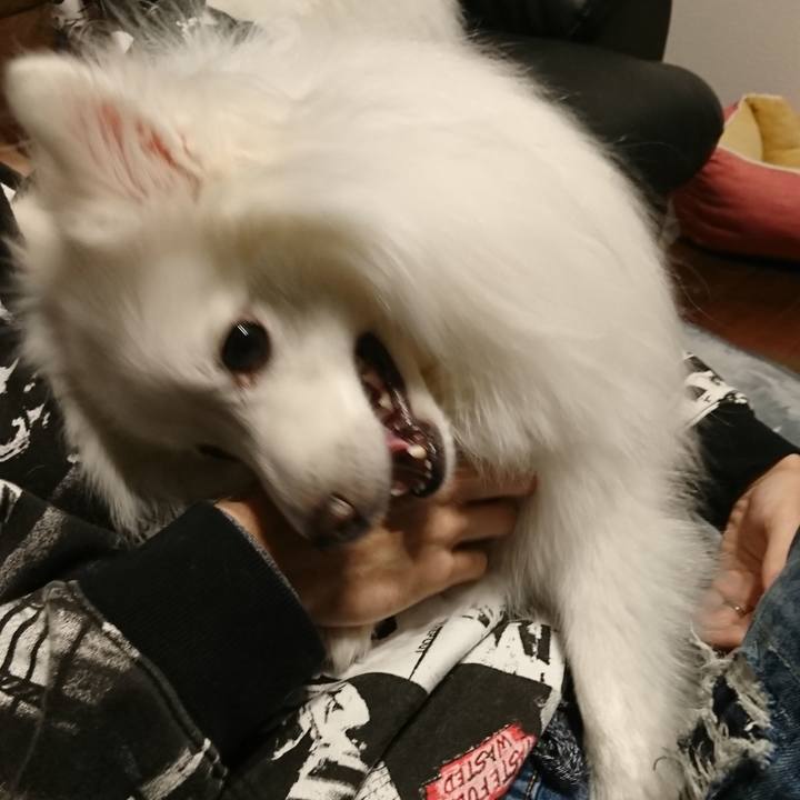 825cf3f4 5dc5 46b6 8dc5 6e817cce2611 1612080453563