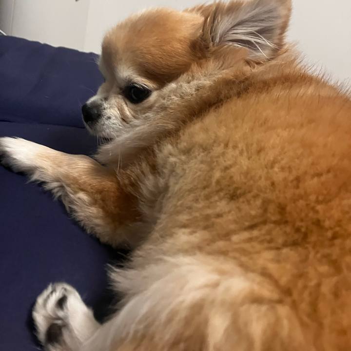 825cf57f 0a84 4e2d a672 1b9cacb13ce9 1763472090355