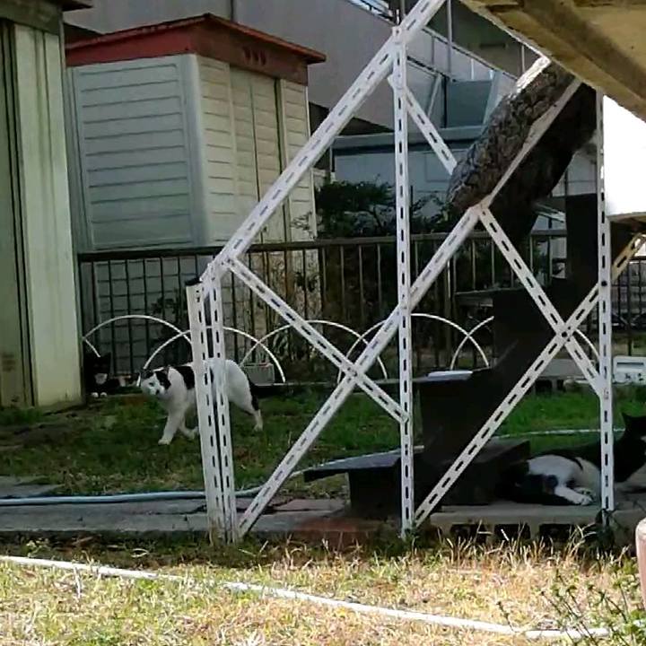 825d0b3d 4fe3 4b88 9a97 e0e866904967 1615013483396