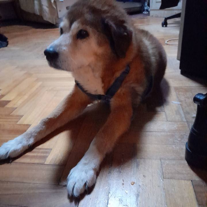 825d24a2 9c62 49ec ae01 2154e8e299d3 1759283371311