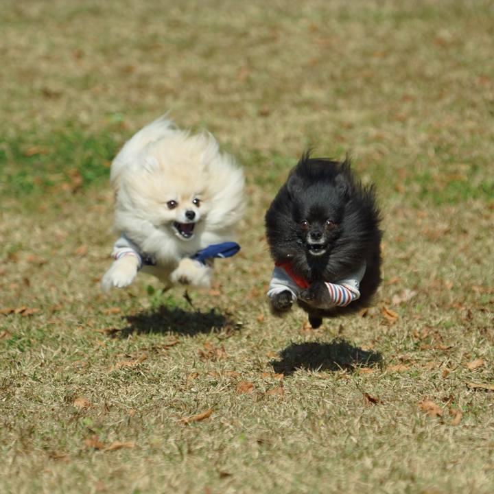 825d35b0 c432 4ba1 a58c 35baafe71b30 1510557673138