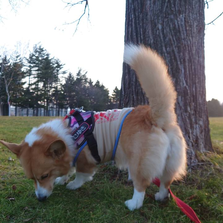 825d3940 613b 46b8 b255 89e6697ad67b 1764199986266