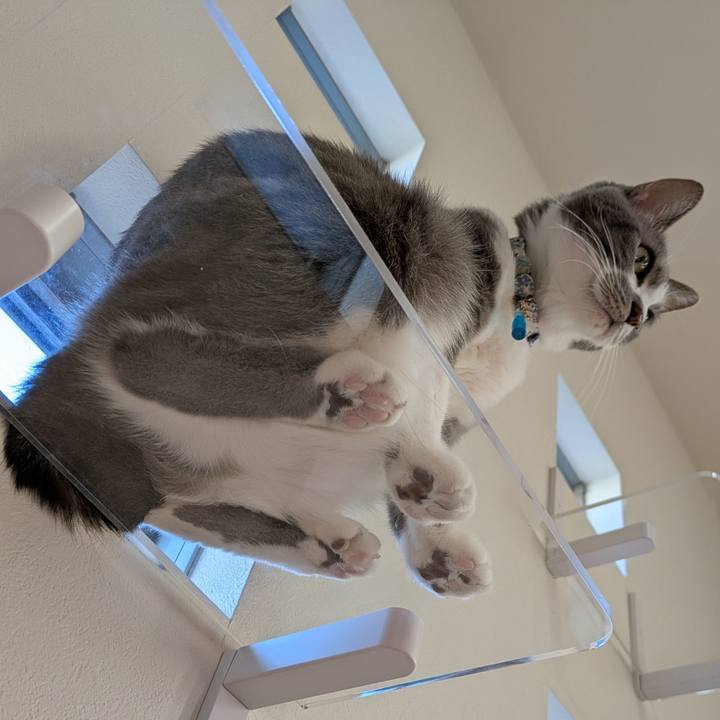 825d3e30 fbd4 407f a0fe 7afaa5063968 1733809768942