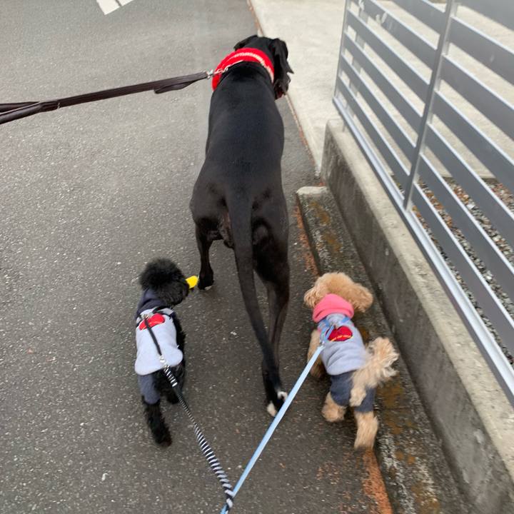 825d9d3b 2d31 4b05 a8c4 e1420a7fcbe6 1550360698461