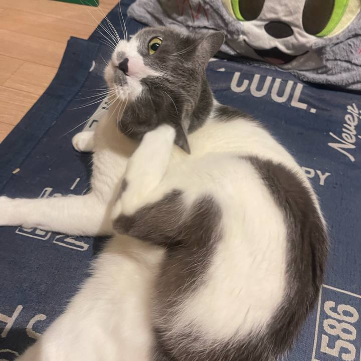 825dd956 f03c 404e 8464 82350f08bac0 1748610928114