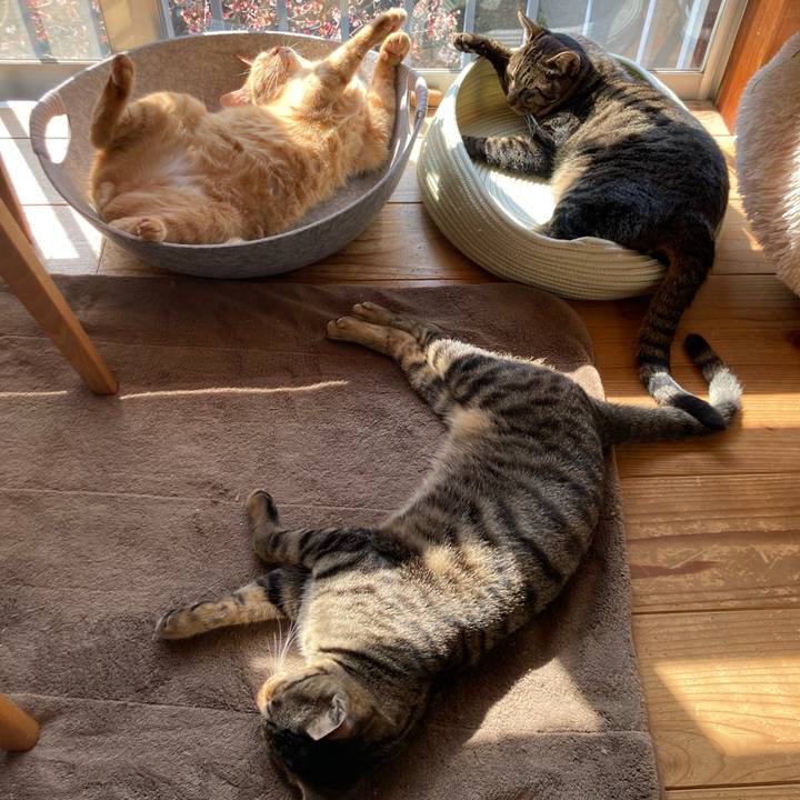 825dfda1 8ccd 4511 95b1 2d6f7adb8b20 1678191504745