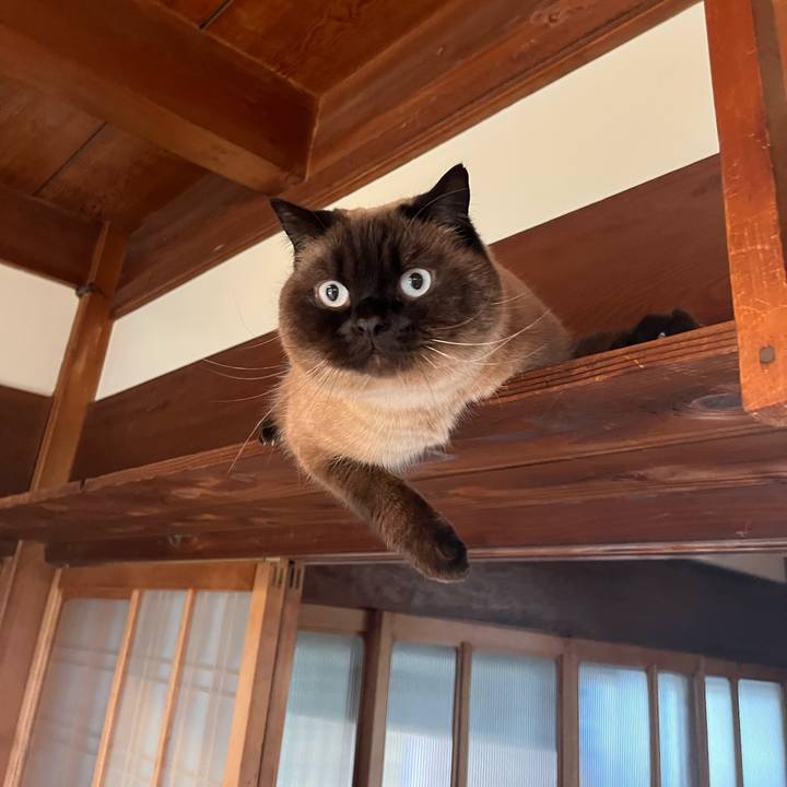 825dffed 8b84 4fe4 ae75 d5cd82a22e95 1680665805969