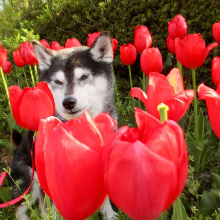 825e106d 3f96 44eb 83ae 88ff75eaee1b 1714176684476