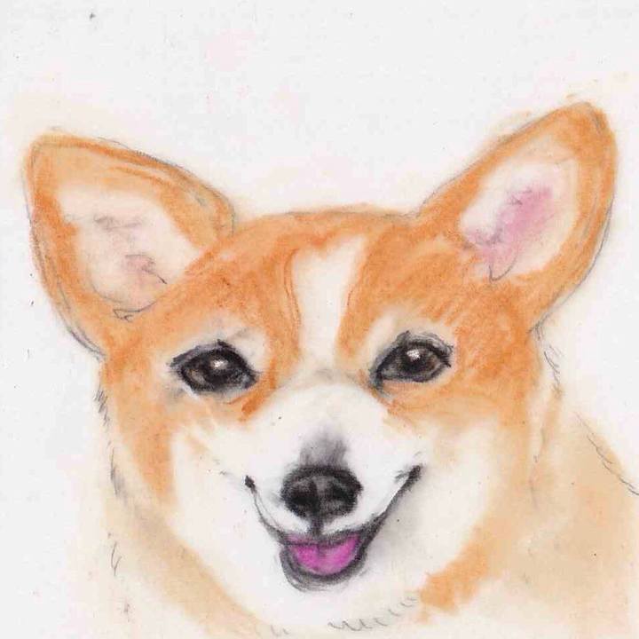 825e2168 8945 4686 b192 f690a4a552bc 1653392767568