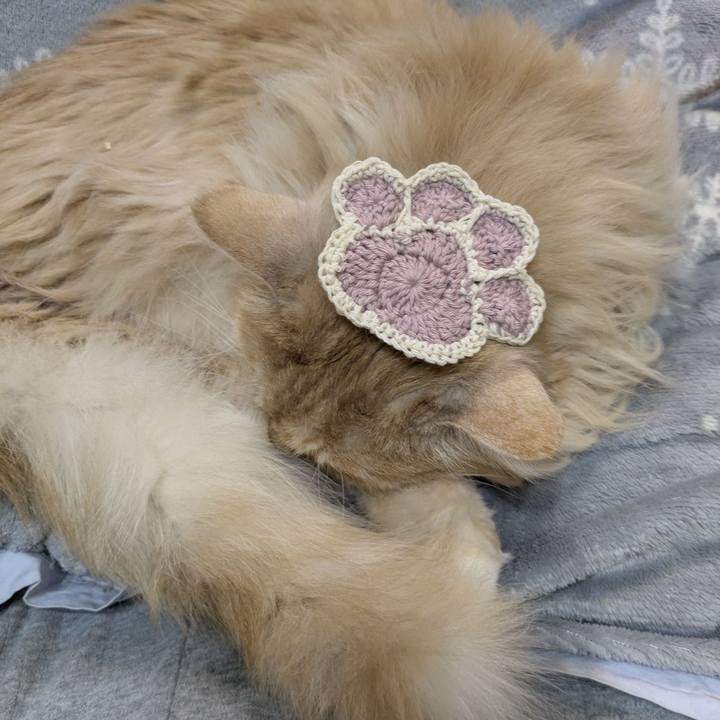 825e28e9 0d55 4eea b1b6 9c7cf18e243b 1775127723234