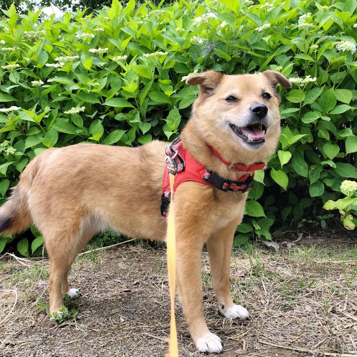 825e65b9 b71f 4f78 9d7c b05c36a8d808 1749735343820