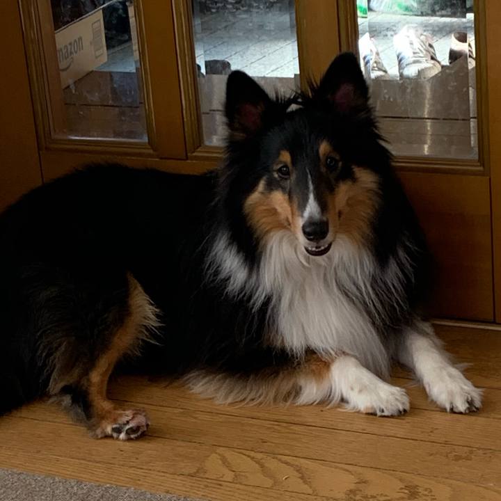 825ea8f2 7d34 4b5d 8d4b e94c499ec2c7 1582413693994