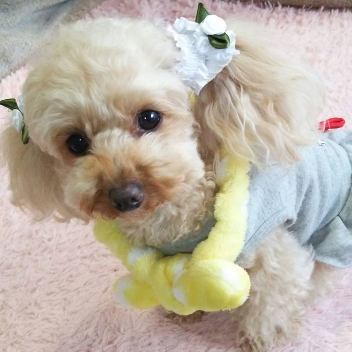 825eb210 0eb5 406f a374 ed5452515e53 1523618161081