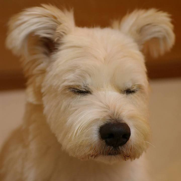 825ec9ae a784 43cc a266 e516caace104 1640087601468