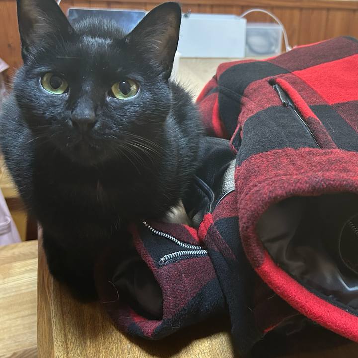 825f7b49 22b1 4a9d 9278 8e53ce837806 1680992103289