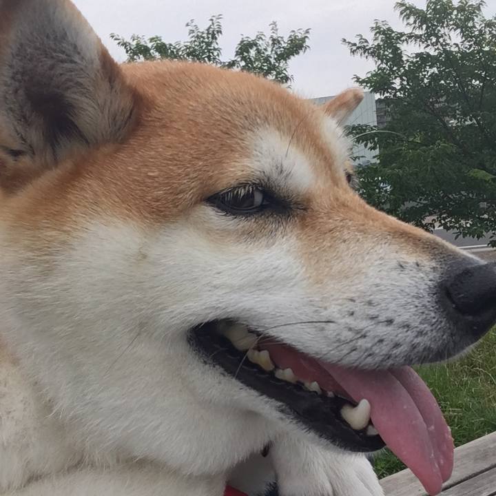 826017d4 a87e 4b1e 8c09 bd123b640d1a 1593245517972