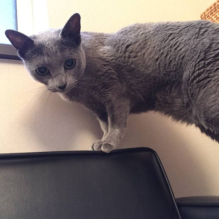 82603b00 3241 48ad b8da cbc4e87db182 1517959935089