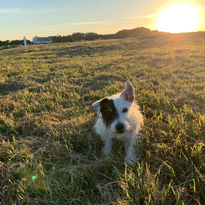 8260516d eb6b 4b49 9316 2c34348ffcc9 1694595187701