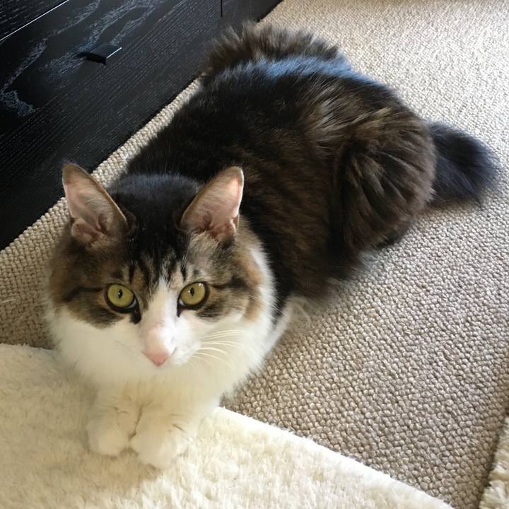 82605b46 5b7d 49db af00 0a5dd1107546 1530500840394