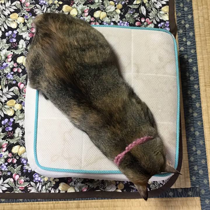 82606e35 c307 4292 952a 28cc6a34d0db 1594613943562