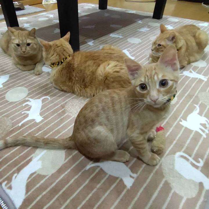 826070b1 31c7 4f5a a9b1 24c71c4c4d36 1673700711717