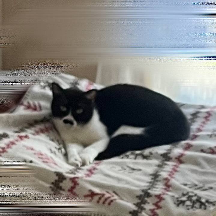 826075a3 6ffb 405f a41d 24dbe44ce0be 1698143090636