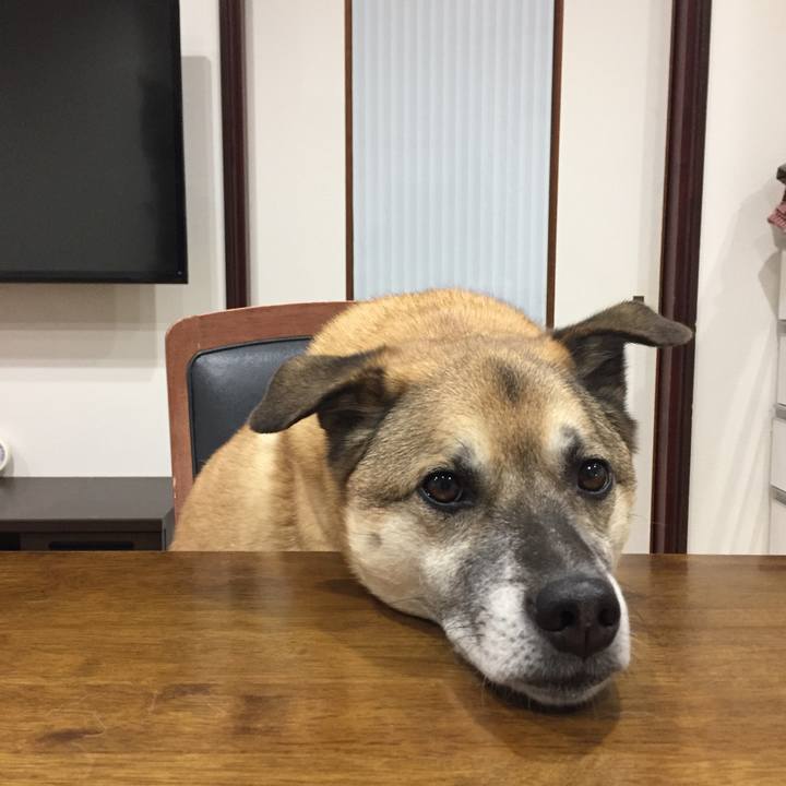 82608227 80a0 47c4 8051 3109dc9ec5ad 1517479603268