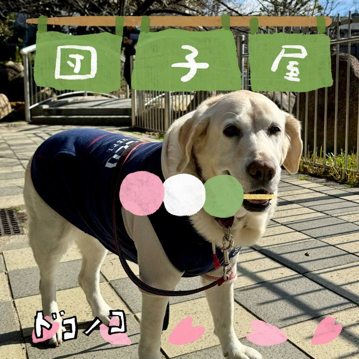 8260a8ca 673a 412c a86e 2f46ee2c1820 1712205130572