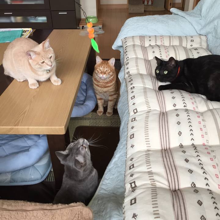 8260c044 e4ff 47ef 9468 121fc4a3171b 1561785875826