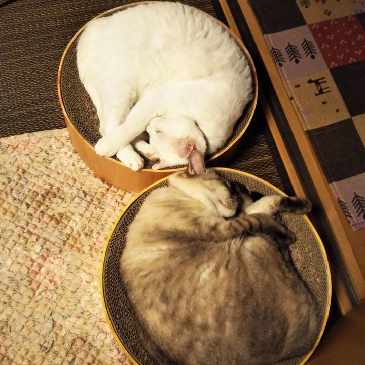 8260d4e4 7cbf 4bfb 98b0 85a0c3218305 1605188258561