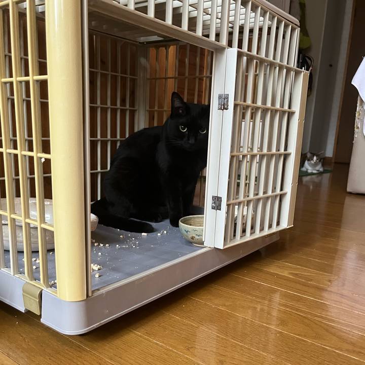 8260e68f 5dc8 43be a181 a843756f5c31 1664666237626