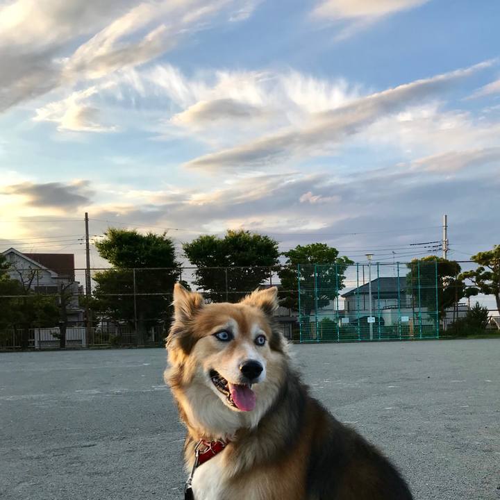 826106bc 7f8a 41bb bcac f987c1511507 1560763639032