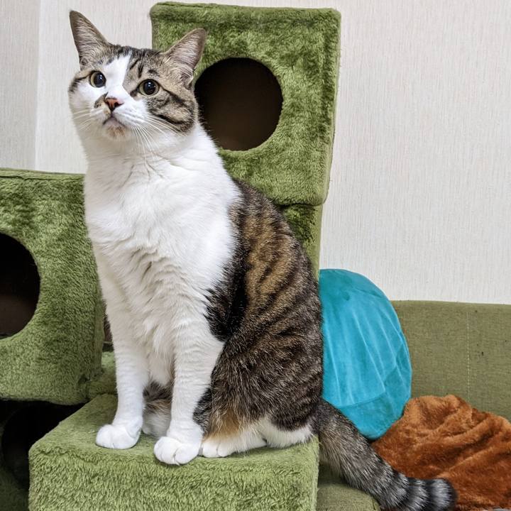 82613ef7 ae57 4ef2 957d 2bf1b75267b7 1676288792123