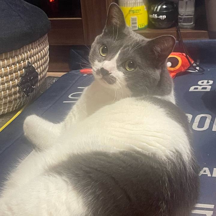 82615ab2 6b87 4d10 81d9 caf409f1ae63 1721311107854