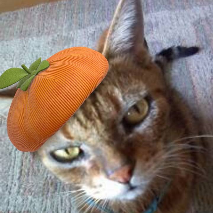 82616cdf c912 4c31 905c 027c74bbba30 1758553062809