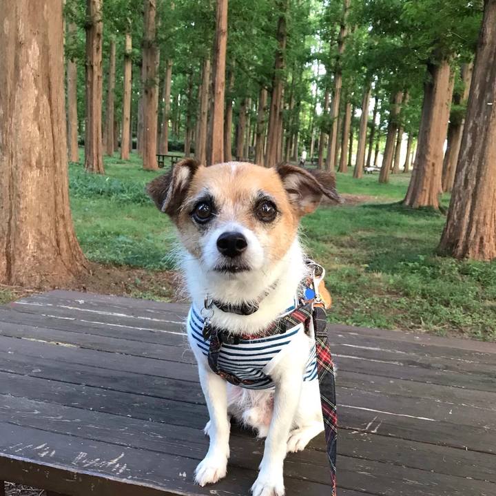 826182e3 f636 466b b5fc 501b2dc3ac76 1565654122201