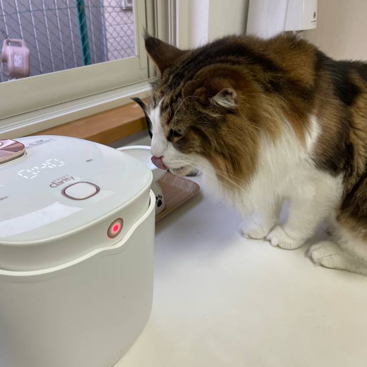 8261d111 e893 4357 ae82 514e611ddfcb 1724532808432