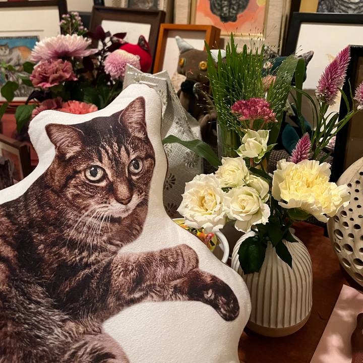 82620ae7 3234 4280 90a6 fa3bd3b1ac3b 1762948432380