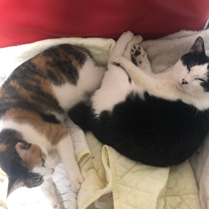 82620d39 19ae 4cf1 8195 1f3e0893035f 1612965160928