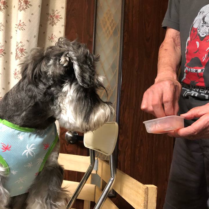 82621373 3775 4932 95b0 a535d765f9e3 1628942648834