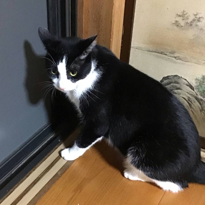 82621955 0202 4e9d 87ba 824910f43926 1696079611912