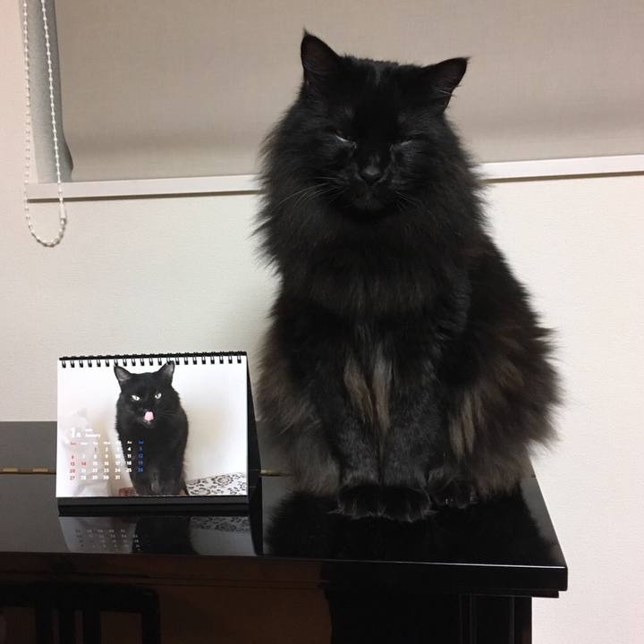 8262316a 663a 436a 8e33 1a2a7964d2b2 1547867082513