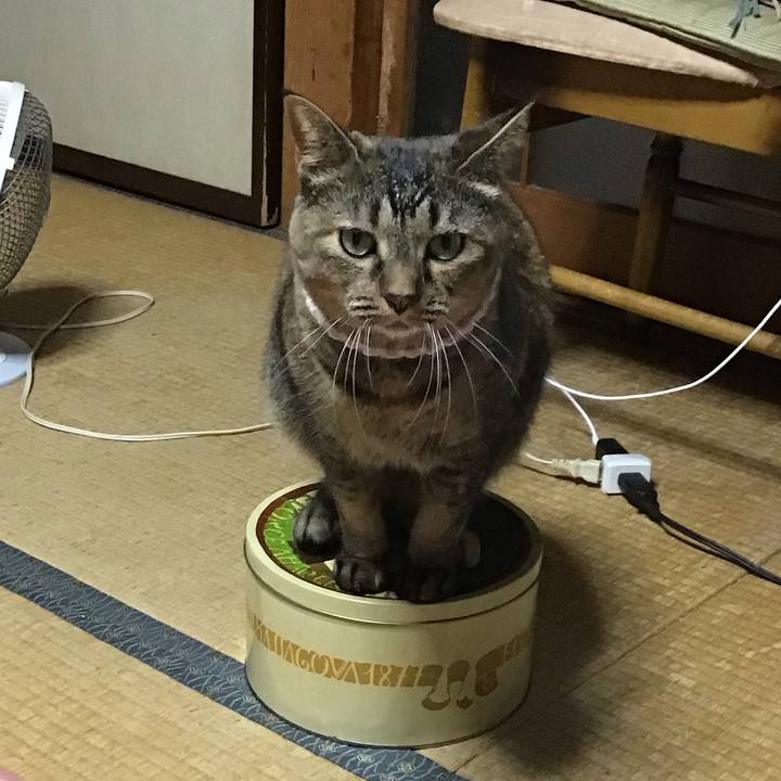 82625856 fba5 4a0d 8147 8ac93b14ae73 1694773479098