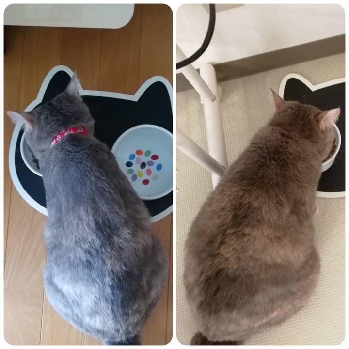 8262854b f95d 478a b58c 8500fb7cc488 1539350928359